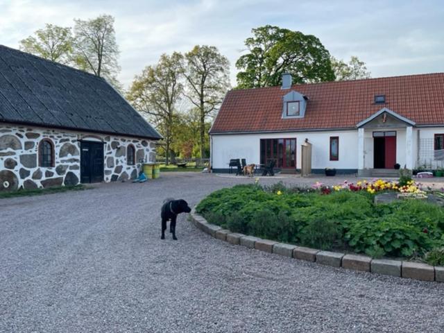 Ferienwohnung Ormanasgarden Höör Exterior foto